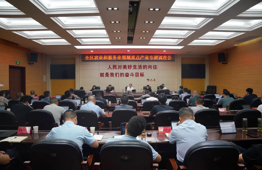 全区农业和服务业领域重点产业专班调度会召...
