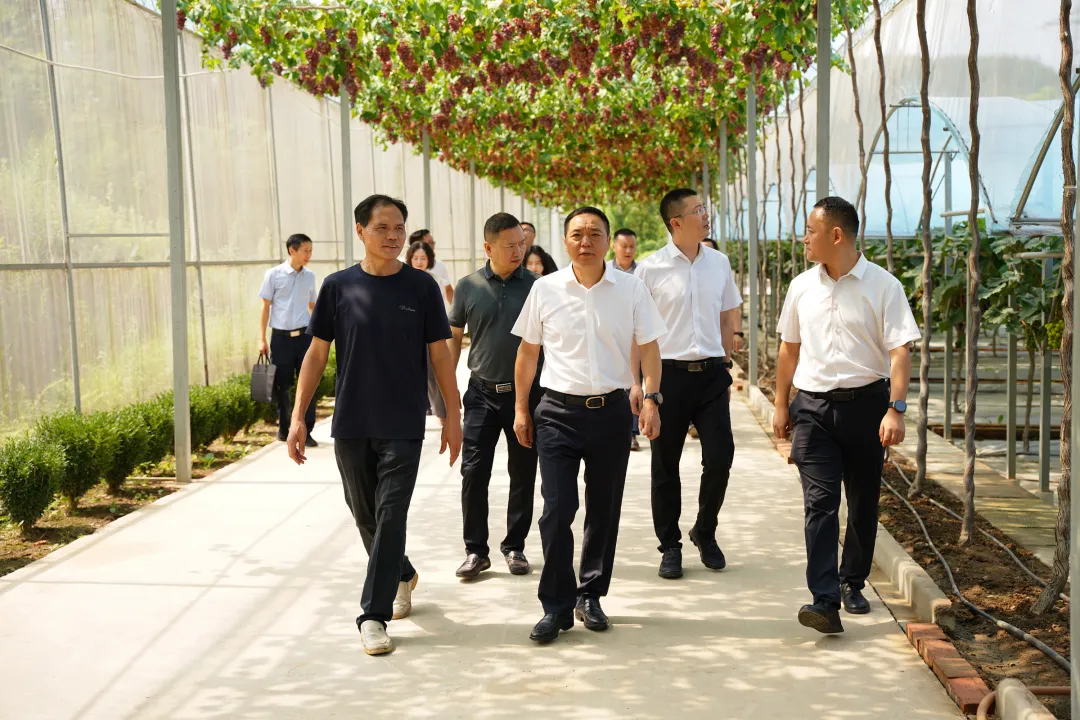 张勋图调研人才先行区建设工作