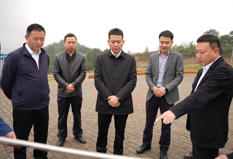 罗凌云督导调研巩固拓展脱贫攻坚成果同乡村振兴有效衔...