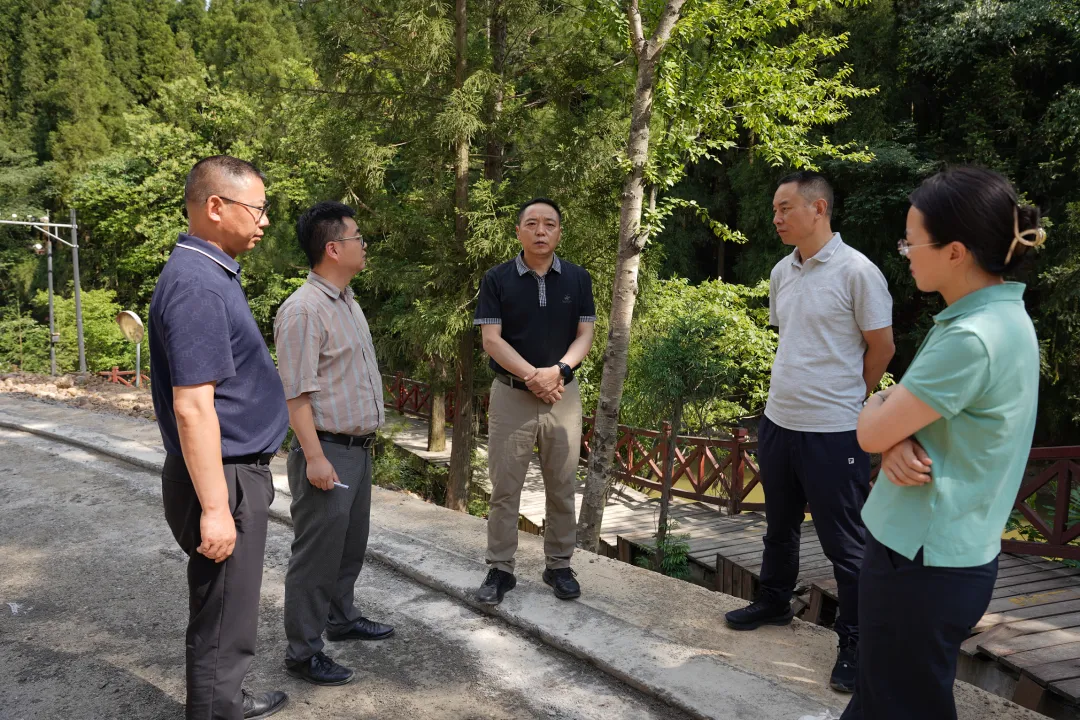 张勋图调研文旅项目建设工作